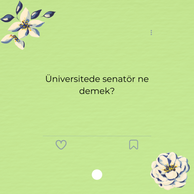 Üniversitede senatör ne demek? 1