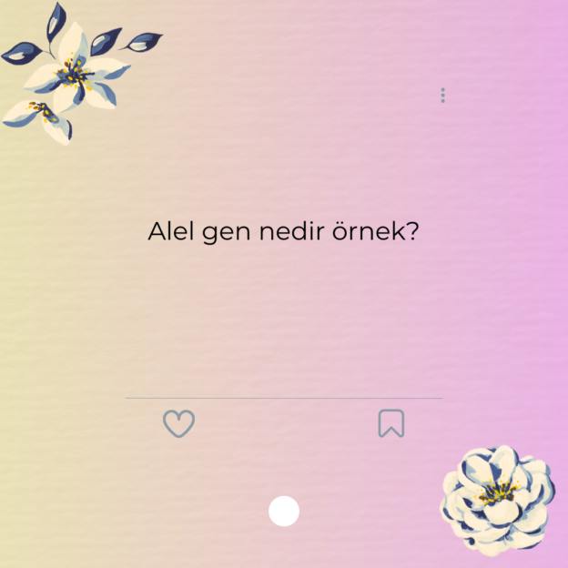 Alel gen nedir örnek? 1