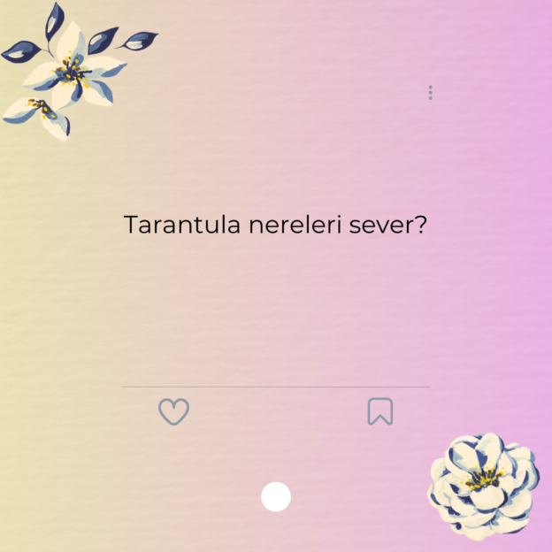 Tarantula nereleri sever? 1