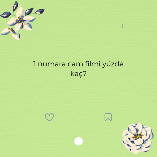 1 numara cam filmi yüzde kaç? 1