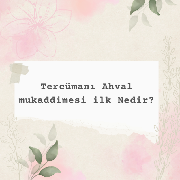 Tercümanı Ahval mukaddimesi ilk Nedir? 1