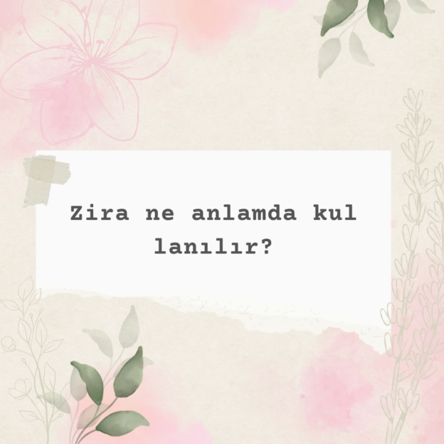 Zira ne anlamda kullanılır? 1