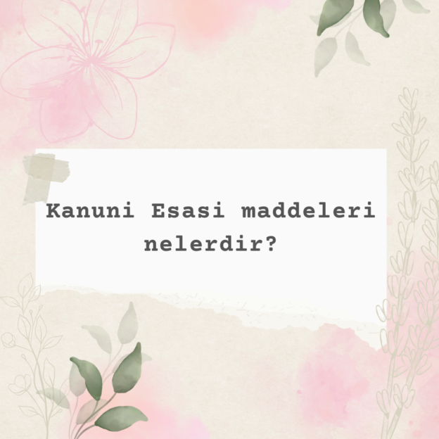 Kanuni Esasi maddeleri nelerdir? 1