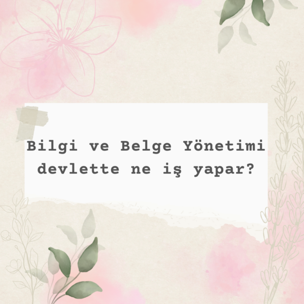 Bilgi ve Belge Yönetimi devlette ne iş yapar? 1