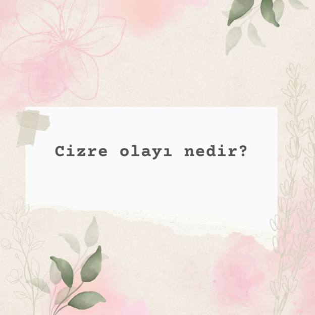 Cizre olayı nedir? 1