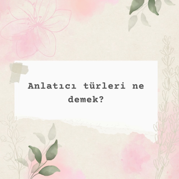 Anlatıcı türleri ne demek? 1