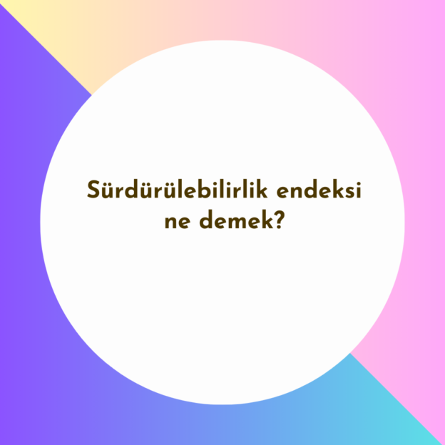 Sürdürülebilirlik endeksi ne demek? 1