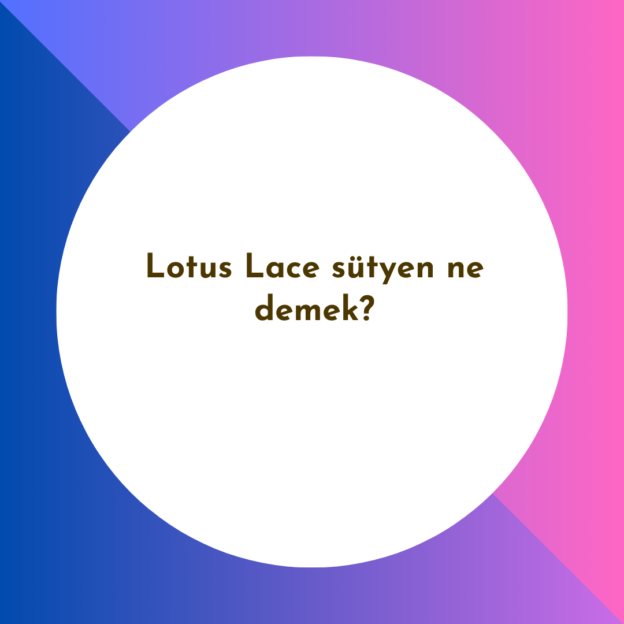 Lotus Lace sütyen ne demek? 1