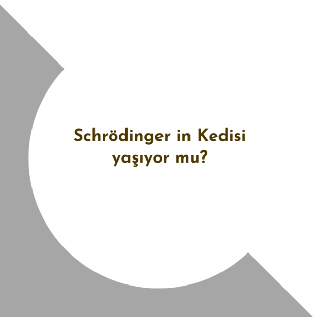 Schrödinger in Kedisi yaşıyor mu? 1