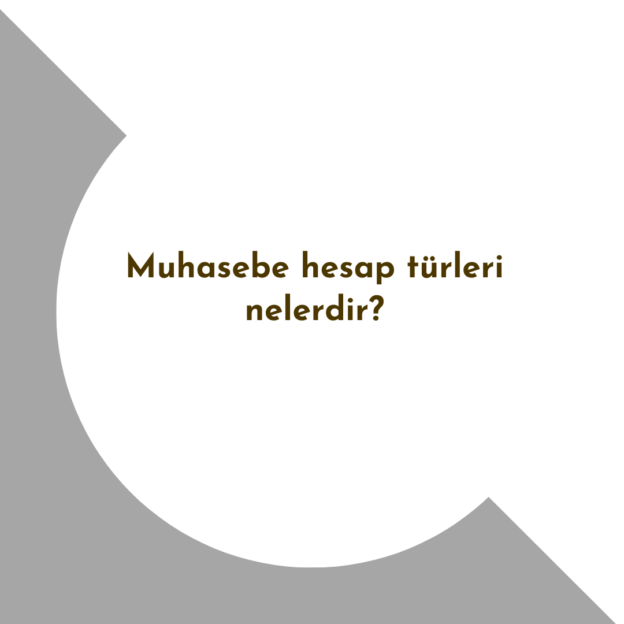 Muhasebe hesap türleri nelerdir? 1