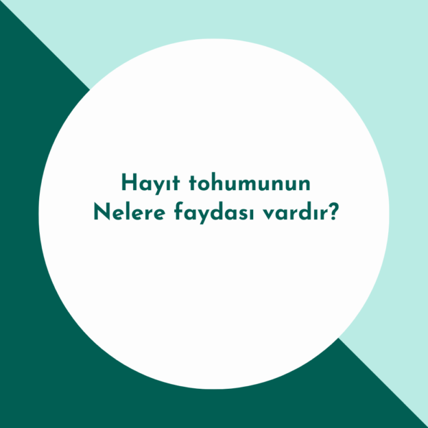 Hayıt tohumunun Nelere faydası vardır? 1