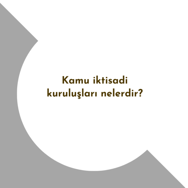 Kamu iktisadi kuruluşları nelerdir? 1