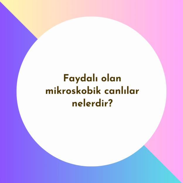 Faydalı olan mikroskobik canlılar nelerdir? 1