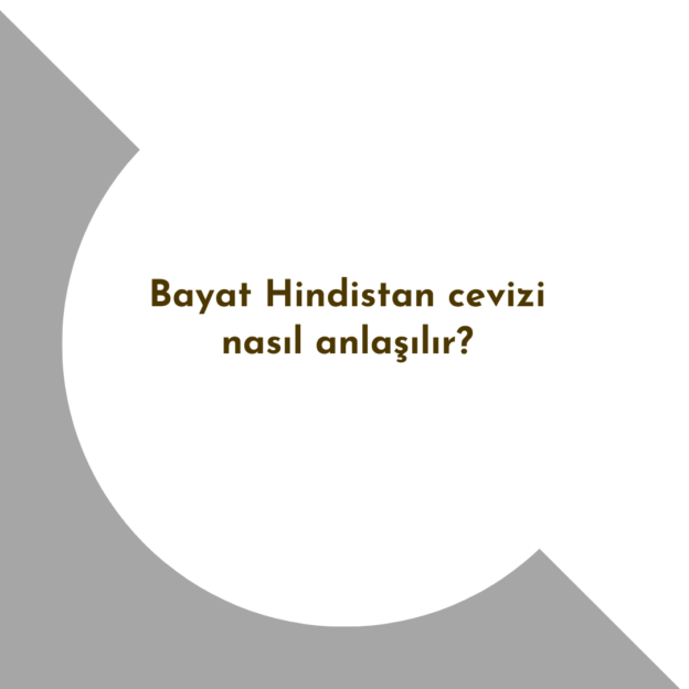 Bayat Hindistan cevizi nasıl anlaşılır? 1