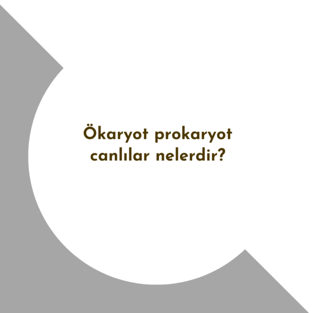 Ökaryot prokaryot canlılar nelerdir? 1