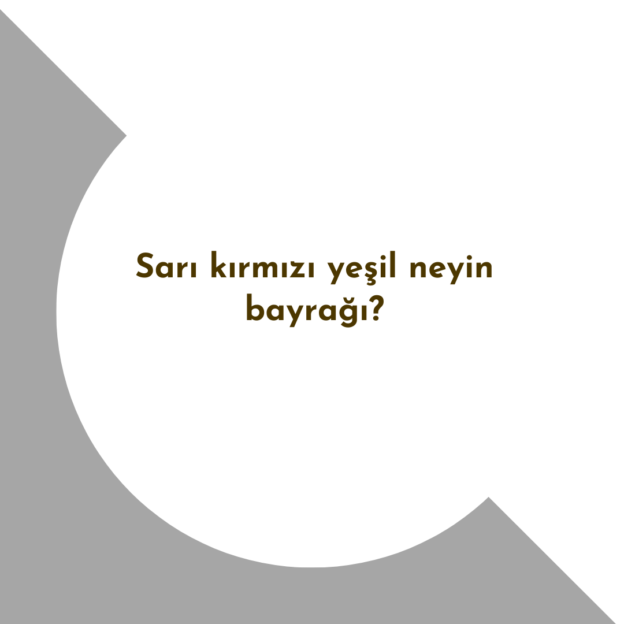 Sarı kırmızı yeşil neyin bayrağı? 1