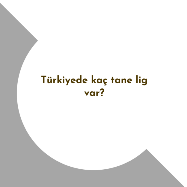 Türkiyede kaç tane lig var? 1