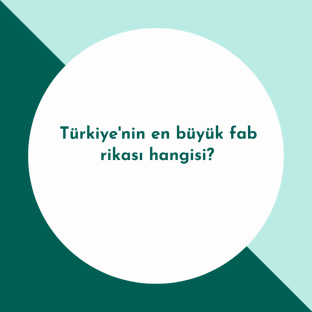 Türkiye'nin en büyük fabrikası hangisi? 1