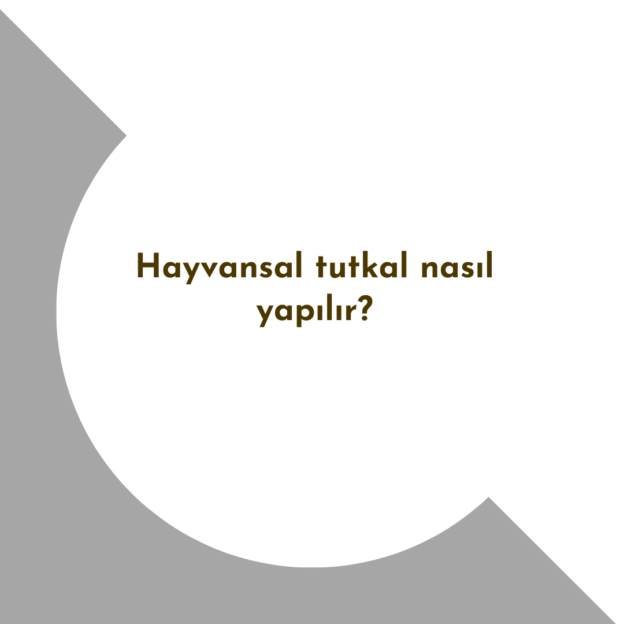 Hayvansal tutkal nasıl yapılır? 1