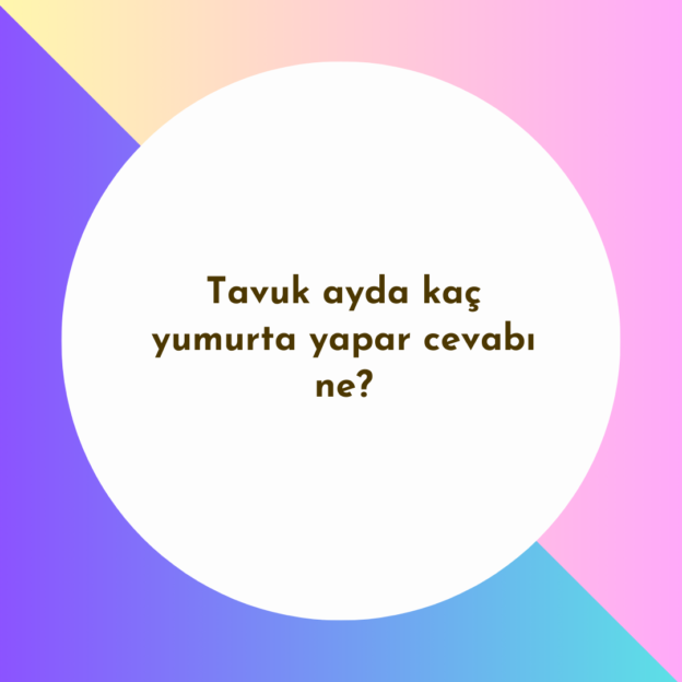 Tavuk ayda kaç yumurta yapar cevabı ne? 1