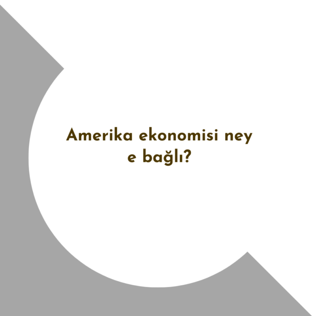 Amerika ekonomisi neye bağlı? 1