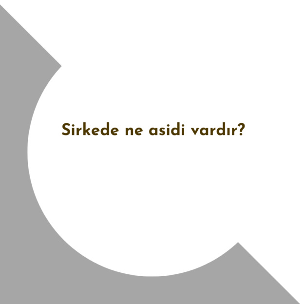 Sirkede ne asidi vardır? 1