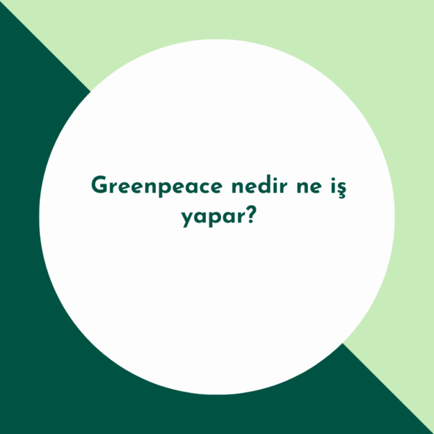 Greenpeace nedir ne iş yapar? 1