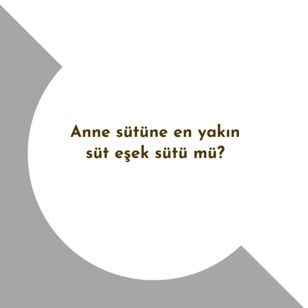 Anne sütüne en yakın süt eşek sütü mü? 1