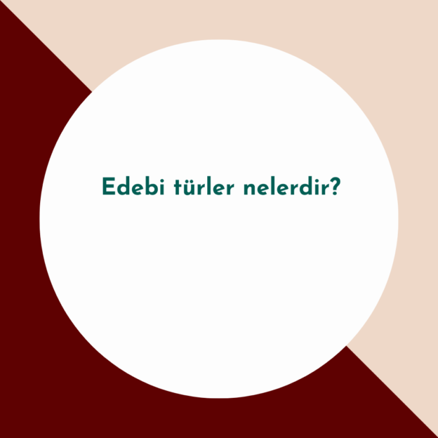 Edebi türler nelerdir? 1