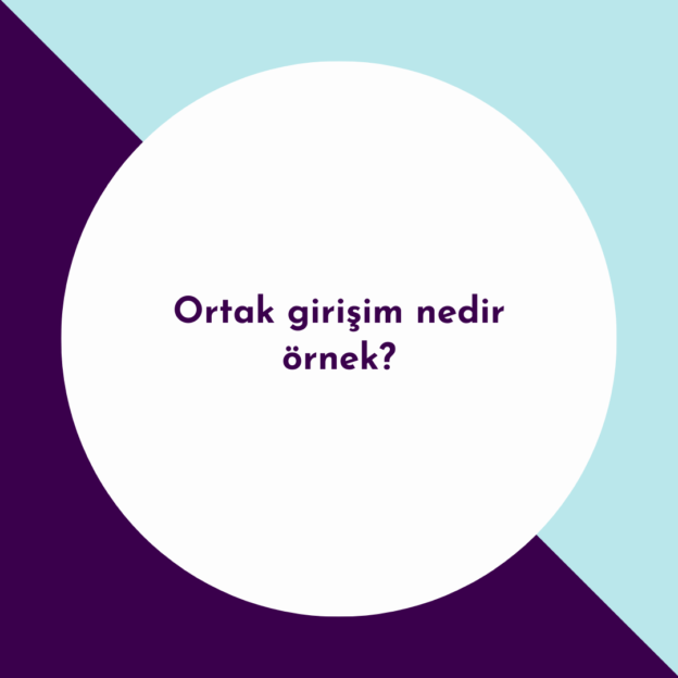 Ortak girişim nedir örnek? 1