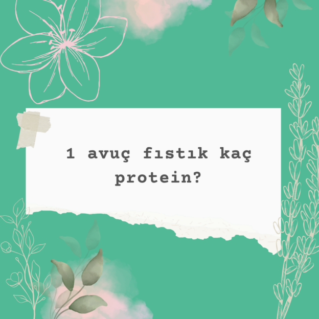 1 avuç fıstık kaç protein? 1