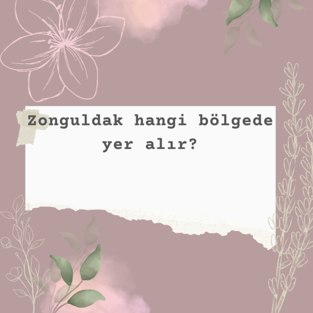 Zonguldak hangi bölgede yer alır? 1