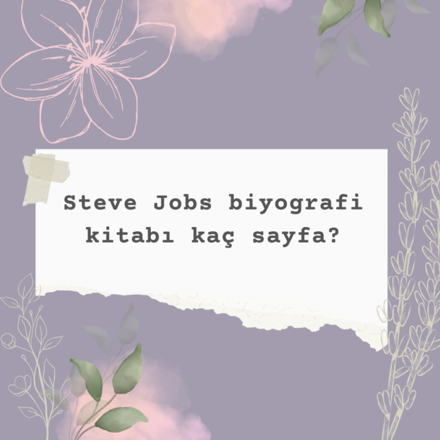 Steve Jobs biyografi kitabı kaç sayfa? 1