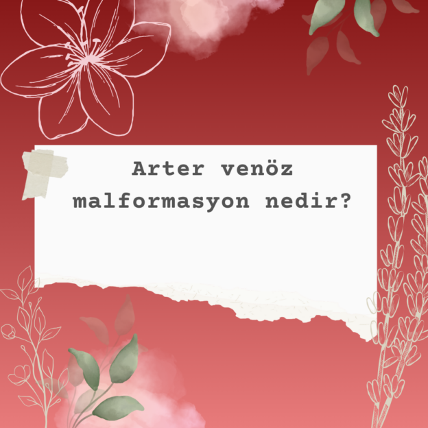 Arter venöz malformasyon nedir? 1