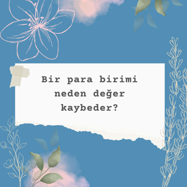 Bir para birimi neden değer kaybeder? 1