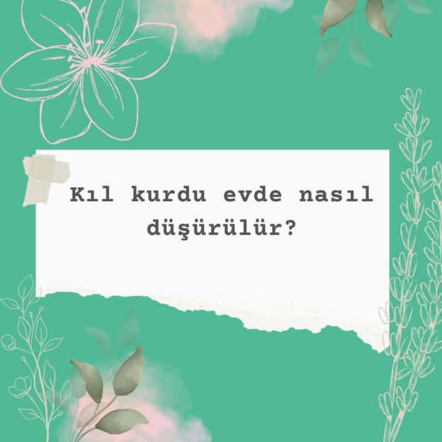 Kıl kurdu evde nasıl düşürülür? 1