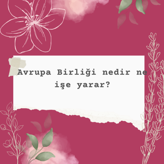 Avrupa Birliği nedir ne işe yarar? 1