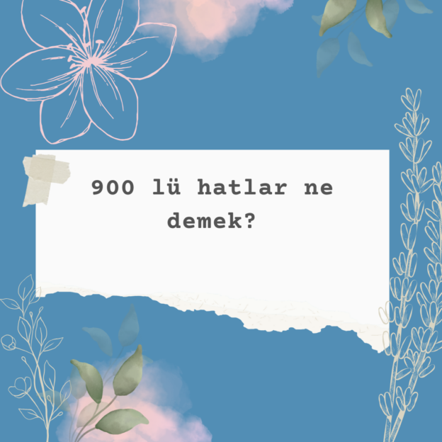 900 lü hatlar ne demek? 1