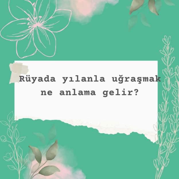 Rüyada yılanla uğraşmak ne anlama gelir? 1