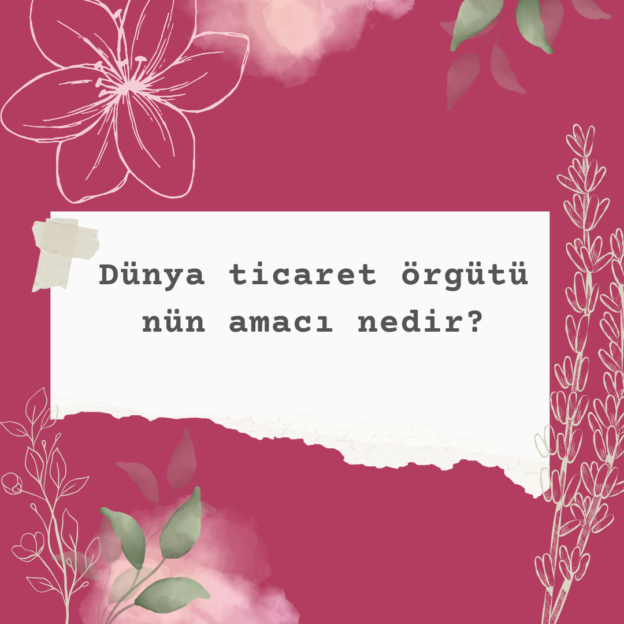 Dünya ticaret örgütünün amacı nedir? 1