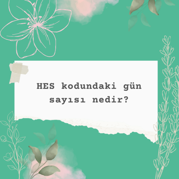 HES kodundaki gün sayısı nedir? 1