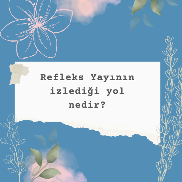 Refleks Yayının izlediği yol nedir? 1