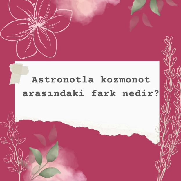 Astronotla kozmonot arasındaki fark nedir? 1