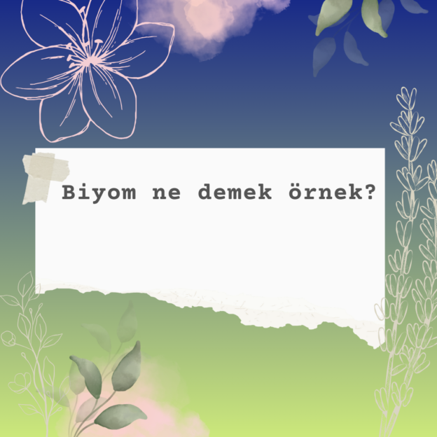 Biyom ne demek örnek? 1