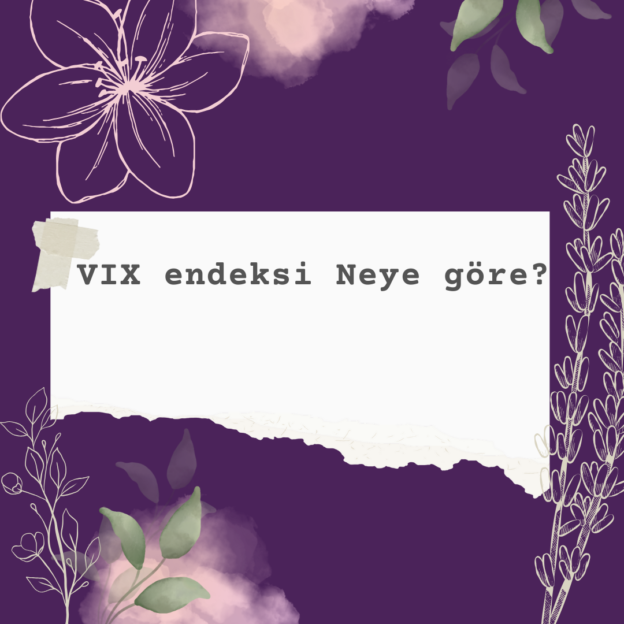 VIX endeksi Neye göre? 6