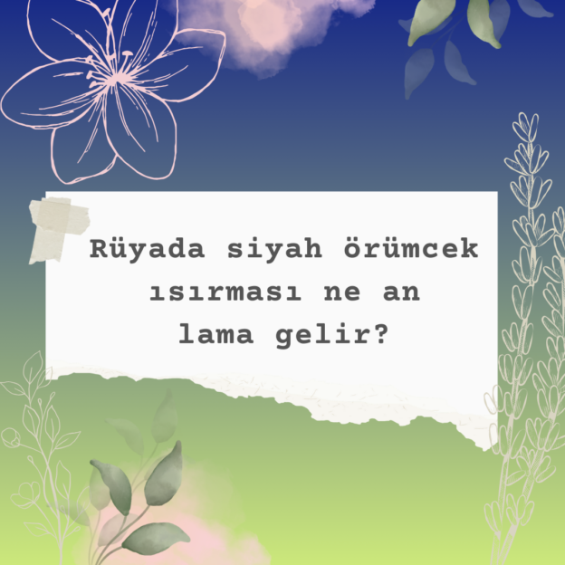 Rüyada siyah örümcek ısırması ne anlama gelir? 1