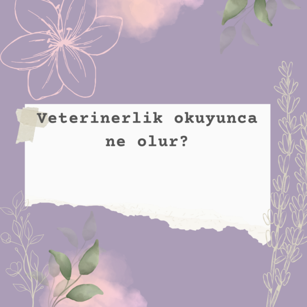 Veterinerlik okuyunca ne olur? 1