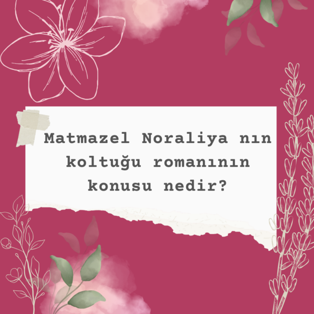 Matmazel Noraliya nın koltuğu romanının konusu nedir? 1