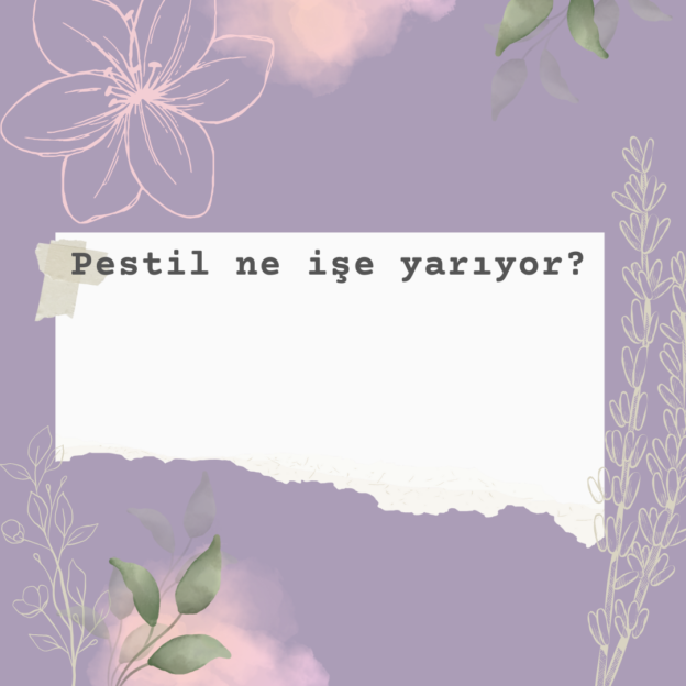 Pestil ne işe yarıyor? 1