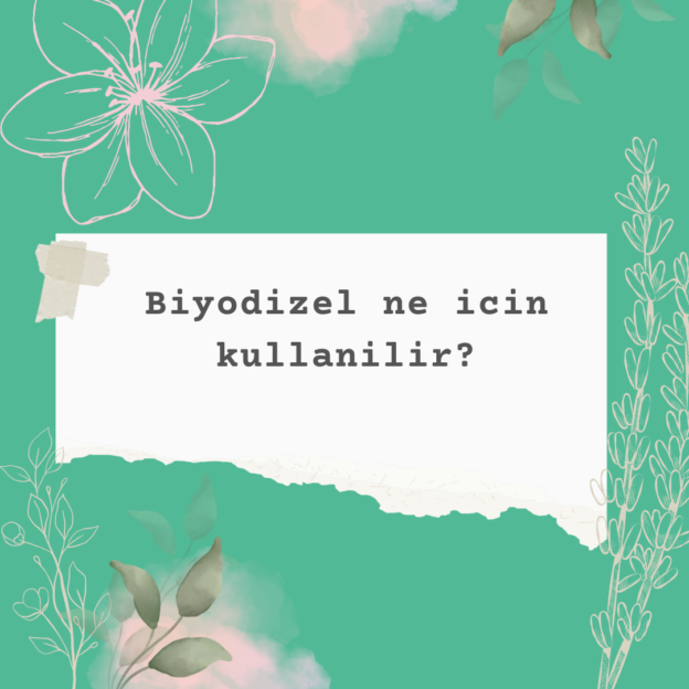 Biyodizel ne icin kullanilir? 1